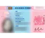 Residence Permit